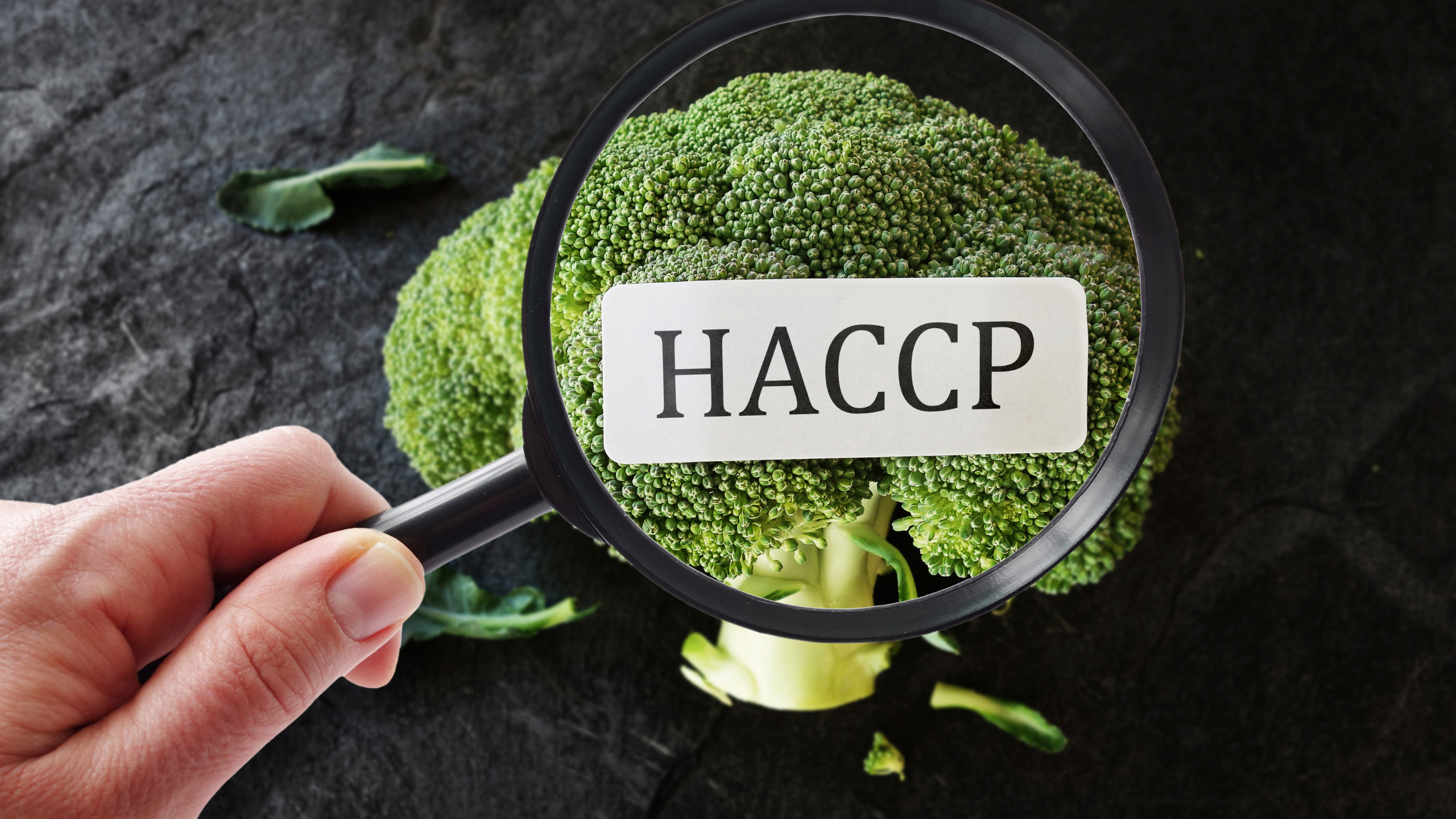 HACCP – Piano di Autocontrollo